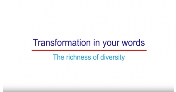 Video Transformation in your words: The richness of diversity